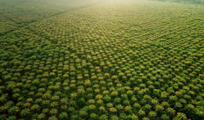 Green Technology: Moving Towards a Sustainable Future of Manufacturing